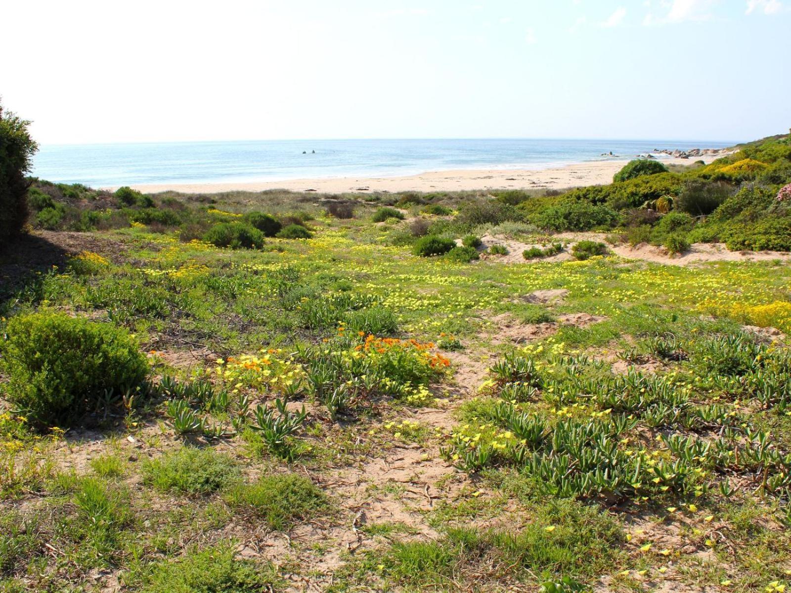 Absolute Beach Accommodation Stompneusbaai Esterno foto