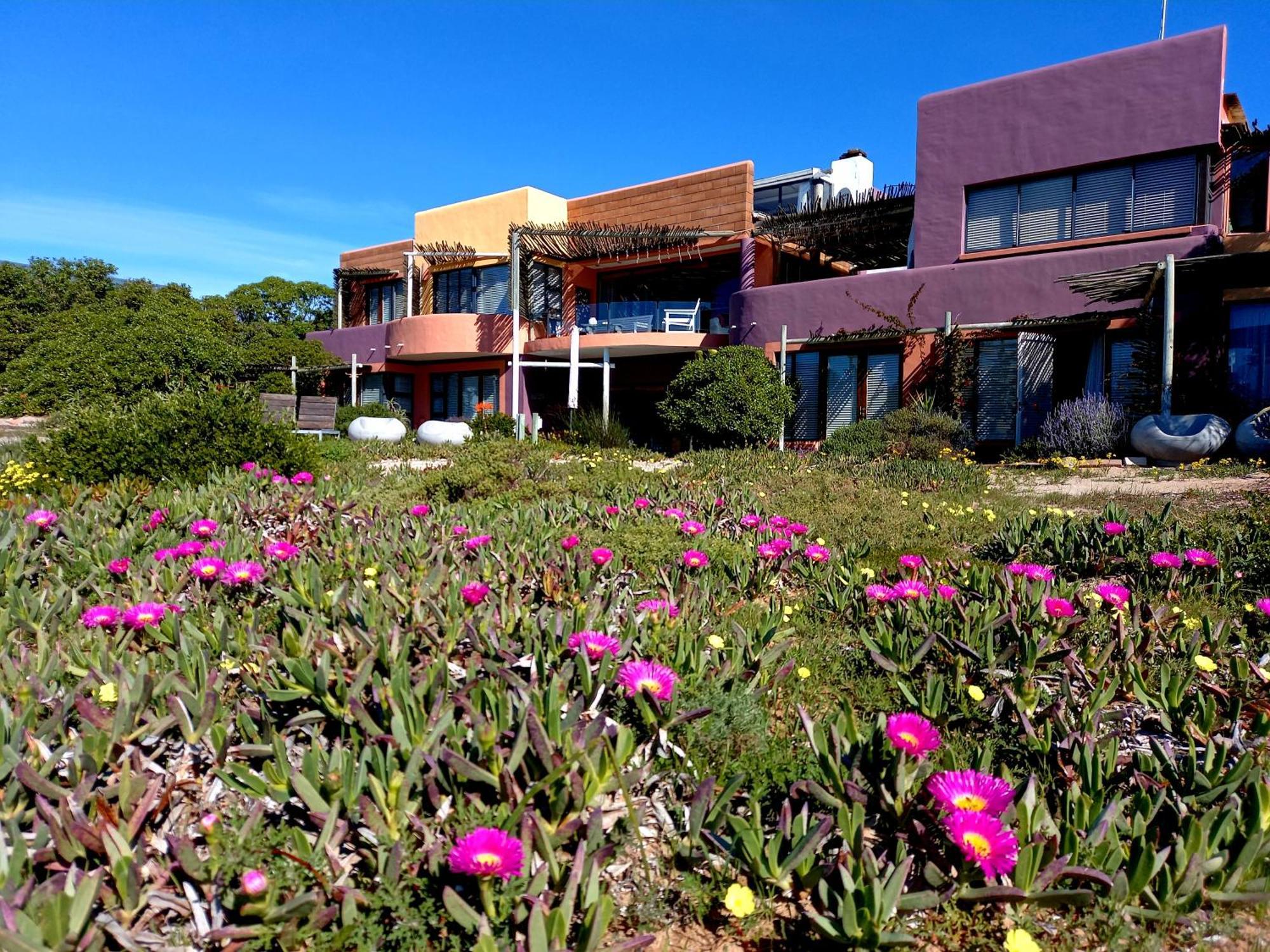 Absolute Beach Accommodation Stompneusbaai Esterno foto